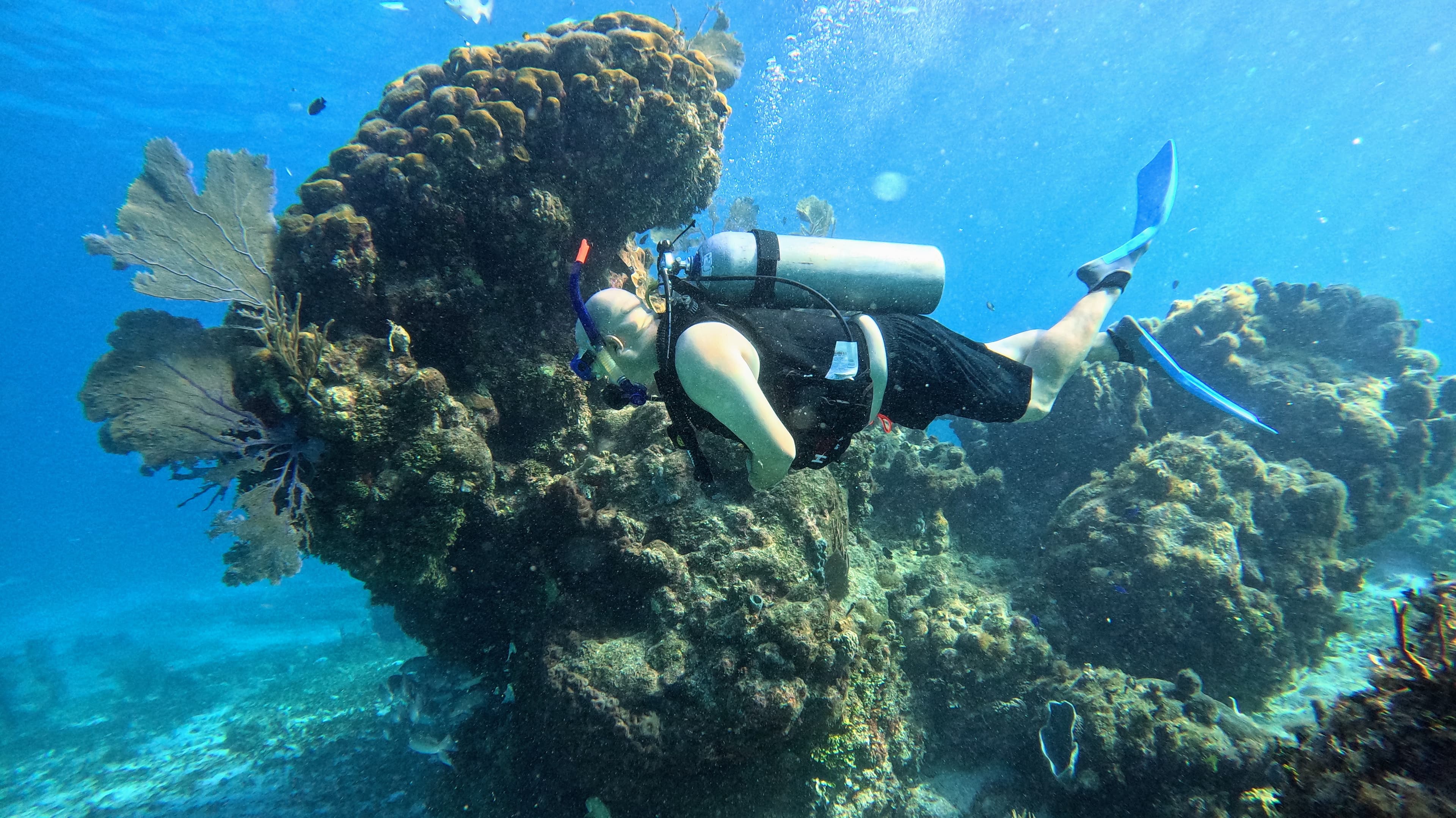 Underwater photo near reef structure in Cozumel.