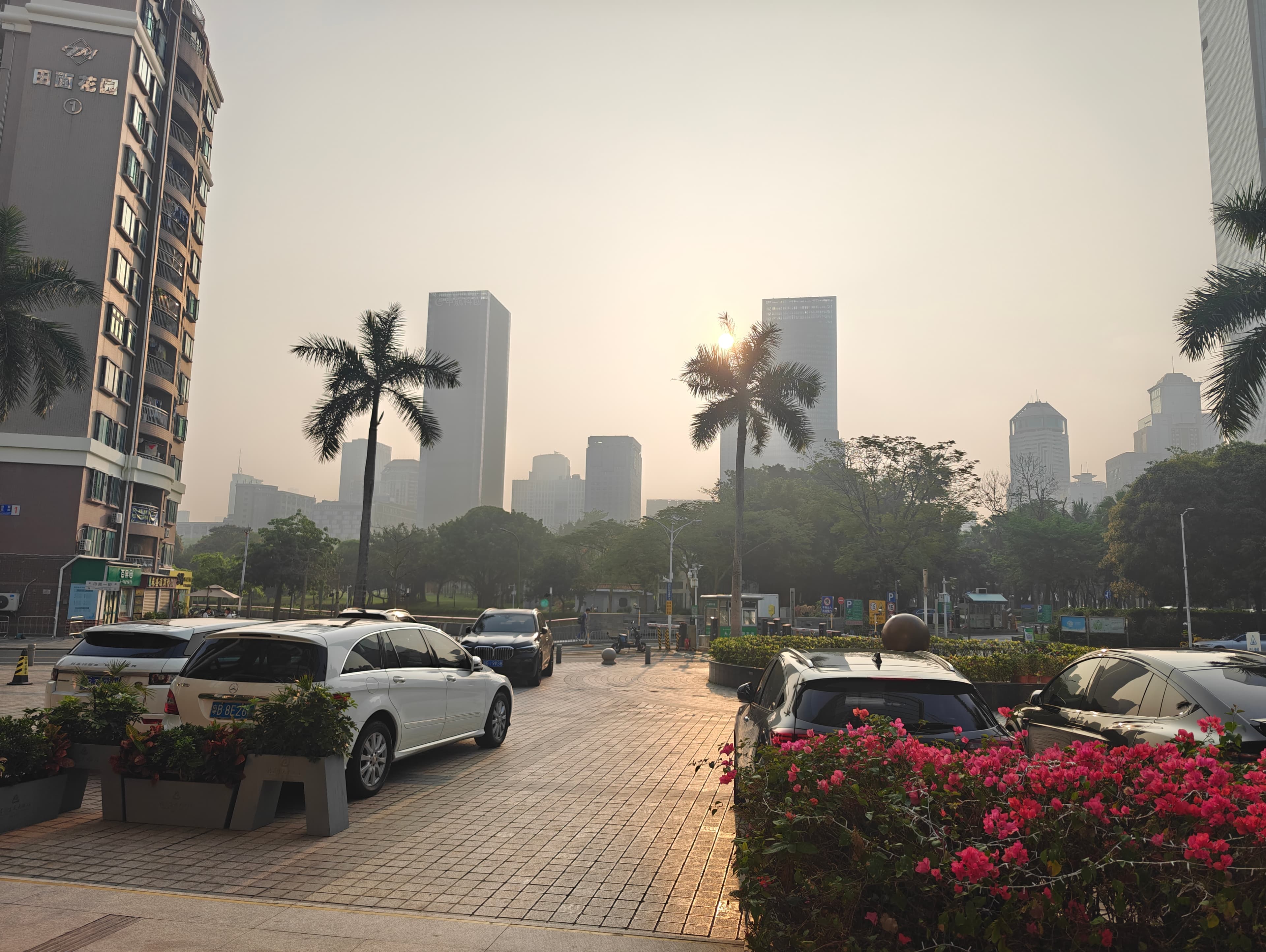 Street-level view outside a hotel in Shenzhen, with palm trees and the city skyline hazy in the background.